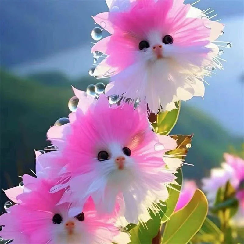 😺Семена за ослепителни цветя 🌸 Отглеждайте изящни, привличащи вниманието цветя