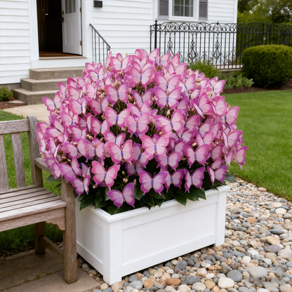 ✨Łatwe w uprawie nasiona – kwiaty motylkowe do żywego ogrodu