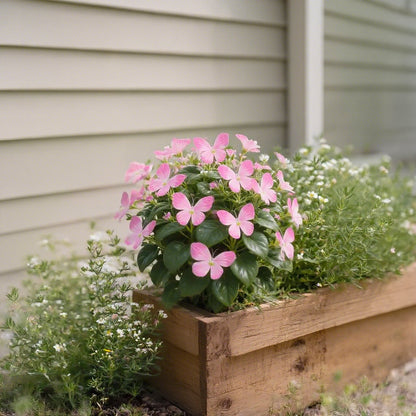 🏆 SPRZEDANO PONAD 50 000 SZTUK! 🦋🌸 Nasiona kwiatów Moonlight Butterfly – sadzenie przez wszystkie cztery pory roku, kwiaty wieloletnie i zachwycająca elegancja ogrodu 🍂