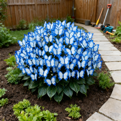 ✨Łatwe w uprawie nasiona – kwiaty motylkowe do żywego ogrodu